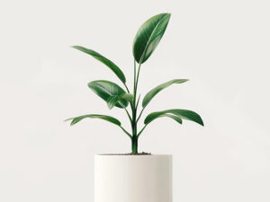 product 04